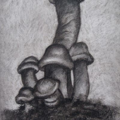 Mushrooms