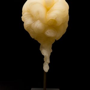 Balloon Bump: 3D Print